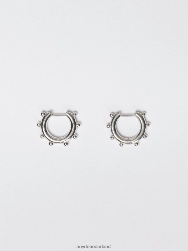 accessoire nl Aeyde Ozzy palladium verguld 624HJR282