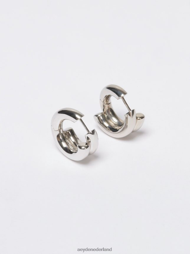 accessoire nl Aeyde clyde palladium verguld 624HJR272
