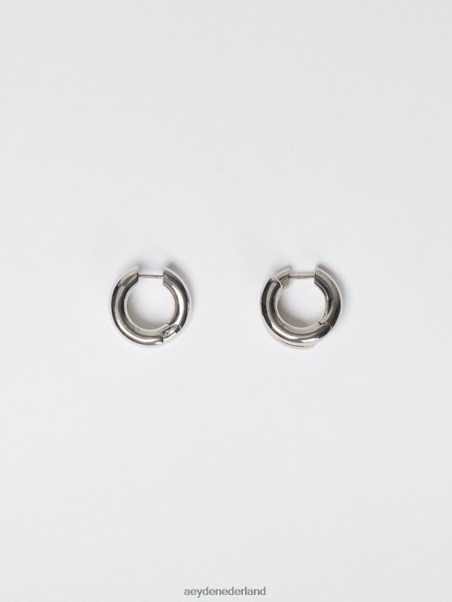 accessoire nl Aeyde clyde palladium verguld 624HJR272