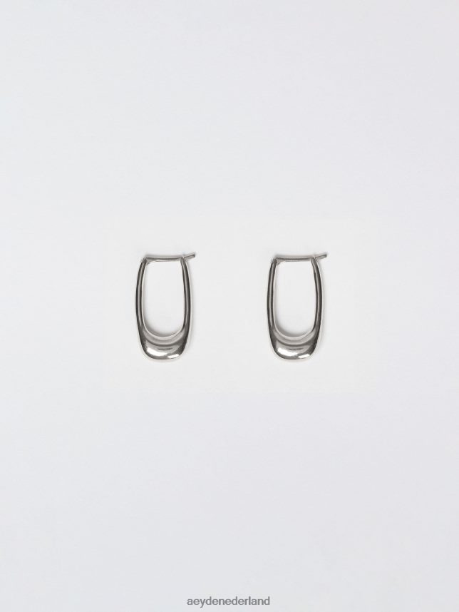 accessoire nl Aeyde elton palladium verguld messing 624HJR285