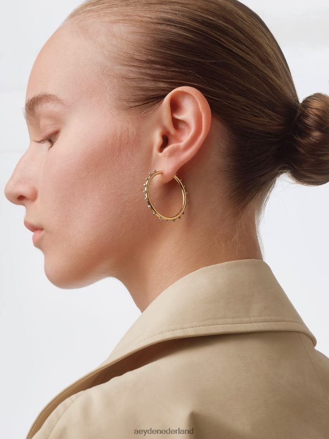 accessoire nl Aeyde otis 18k goud/palladium verguld 624HJR278