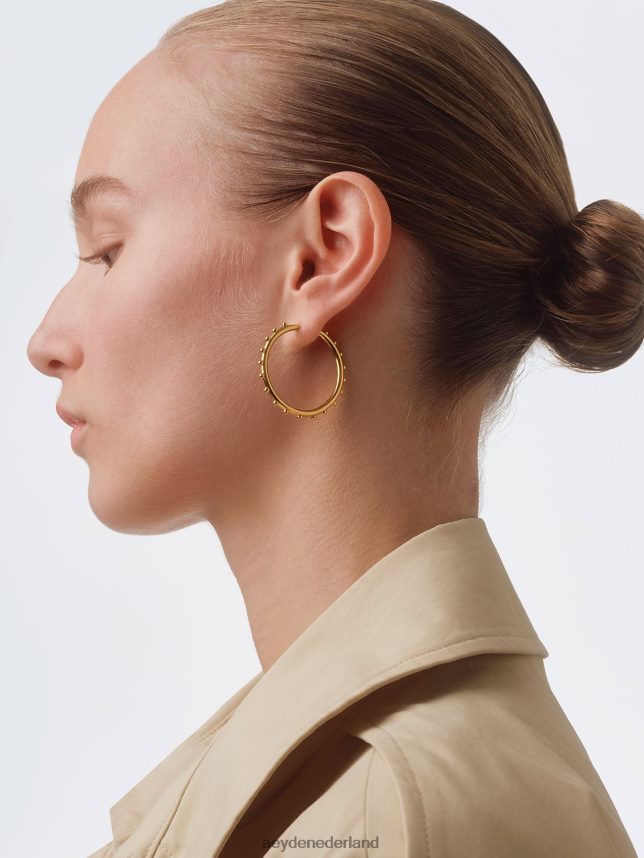 accessoire nl Aeyde otis 18k verguld 624HJR276