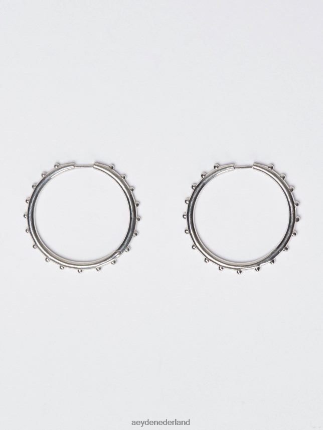 accessoire nl Aeyde otis palladium verguld 624HJR275
